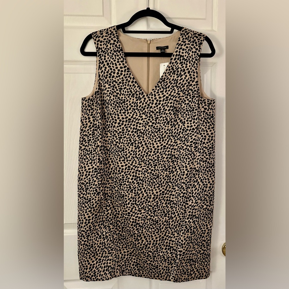 NWT Ann Taylor Dress - Animal print